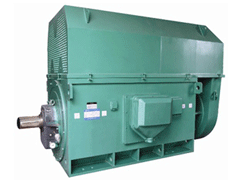 YJTG-355L1-6A/220KWY系列6KV高压电机
