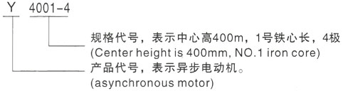 西安泰富西玛Y系列(H355-1000)高压YJTG-355L1-6A/220KW三相异步电机型号说明