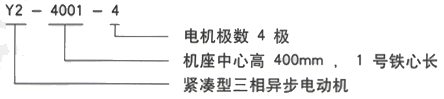 YR系列(H355-1000)高压YJTG-355L1-6A/220KW三相异步电机西安西玛电机型号说明